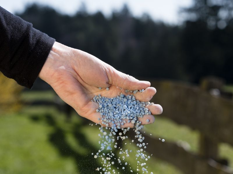 Lawn Fertilizing Service