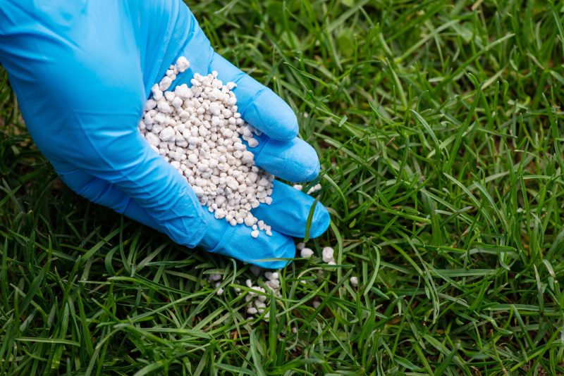 Lawn Fertilizing Service