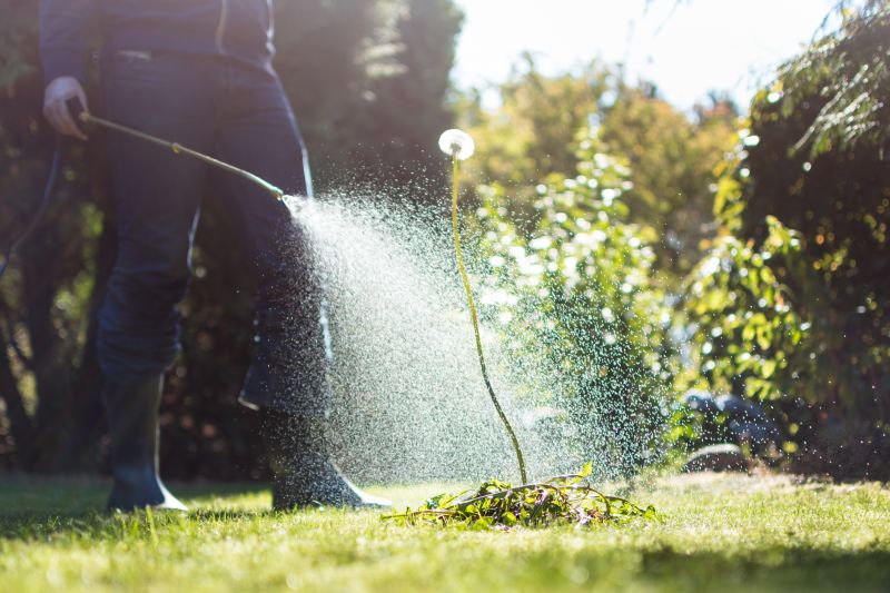 Lawn Herbicide Treatment