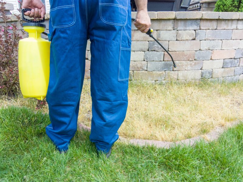 Lawn Spraying