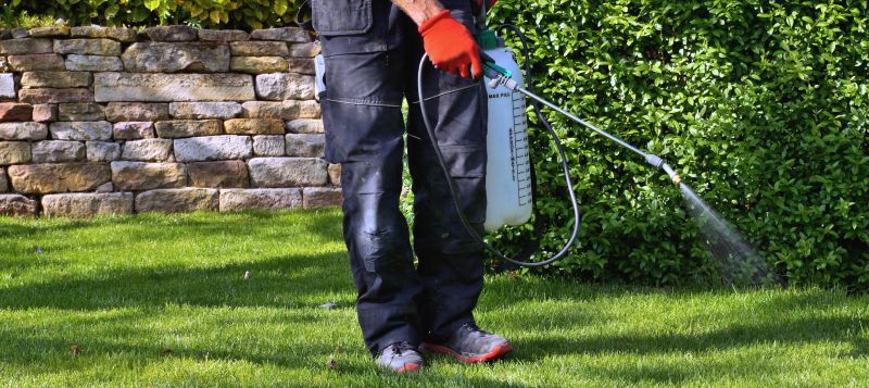 Lawn Spraying