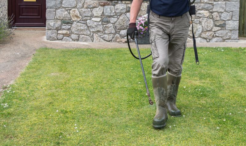 Lawn Spraying