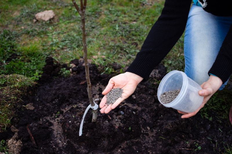 Yard Fertilization