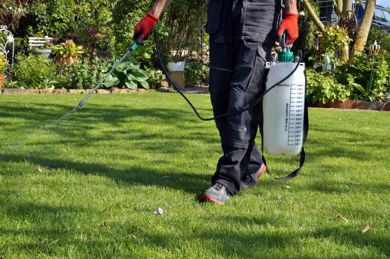 Yard Treatment Service