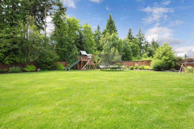 Lawn treatment services contribute to a visually appealing landscape!