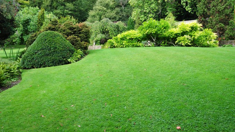 Lawn treatment services foster healthy grass growth!